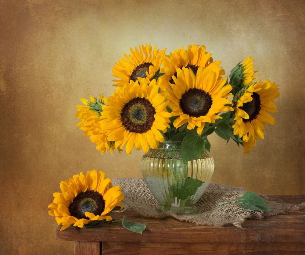 Photograph by Людмила Бекман