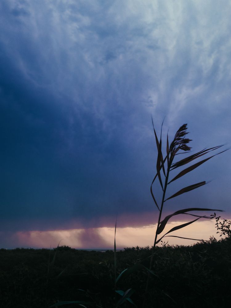 Photograph by Mohtadi