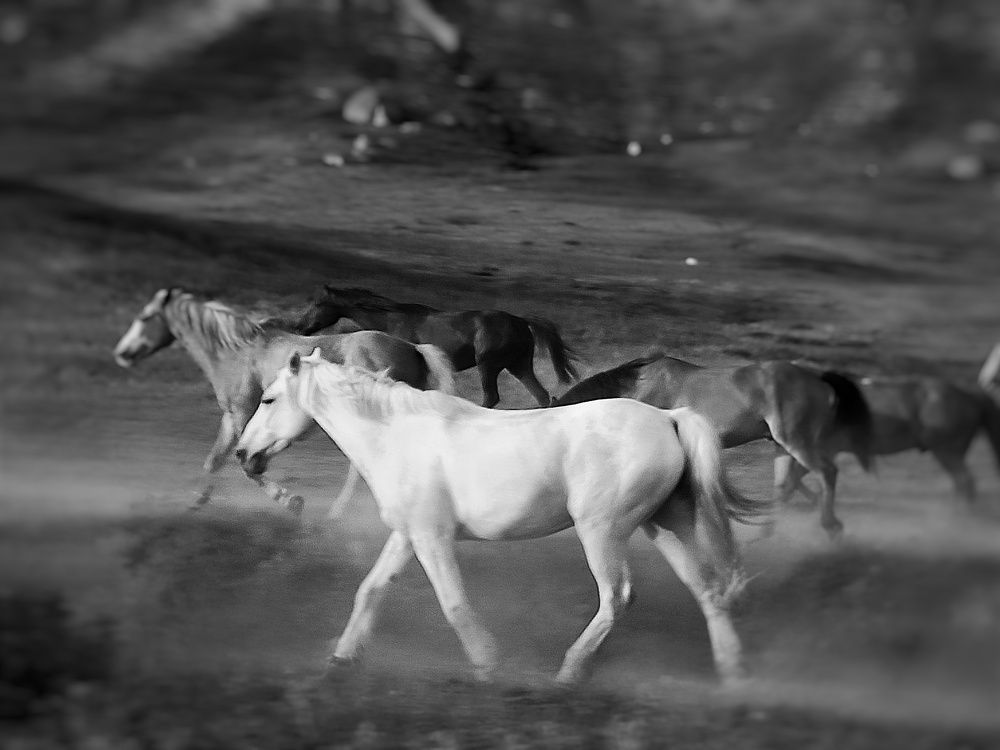 Photograph by Сергей Жигульский