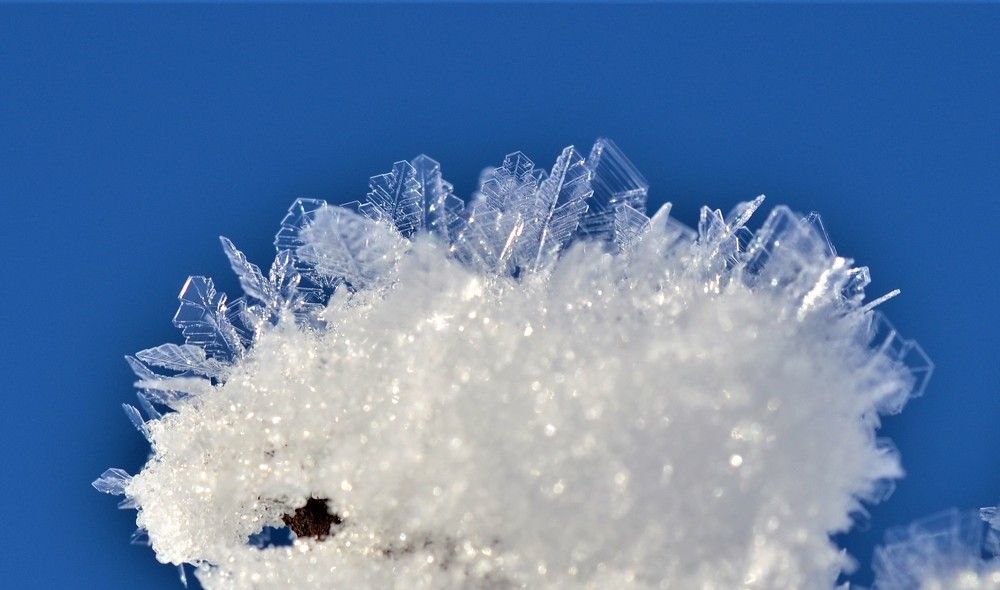 Photograph by Сергей Зубов