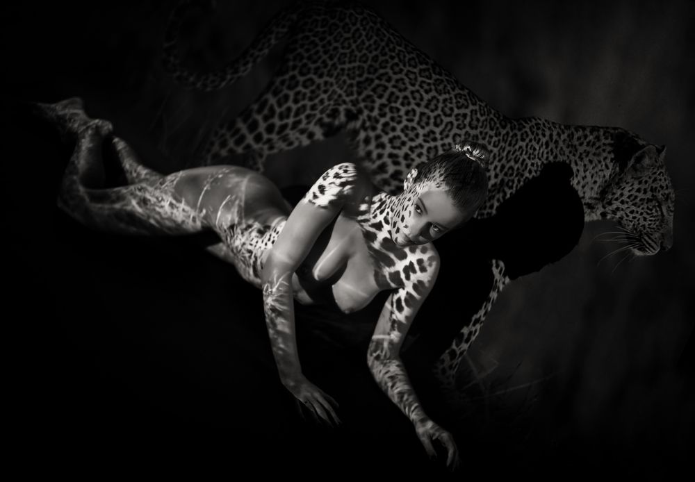 Фотография автора James Yang