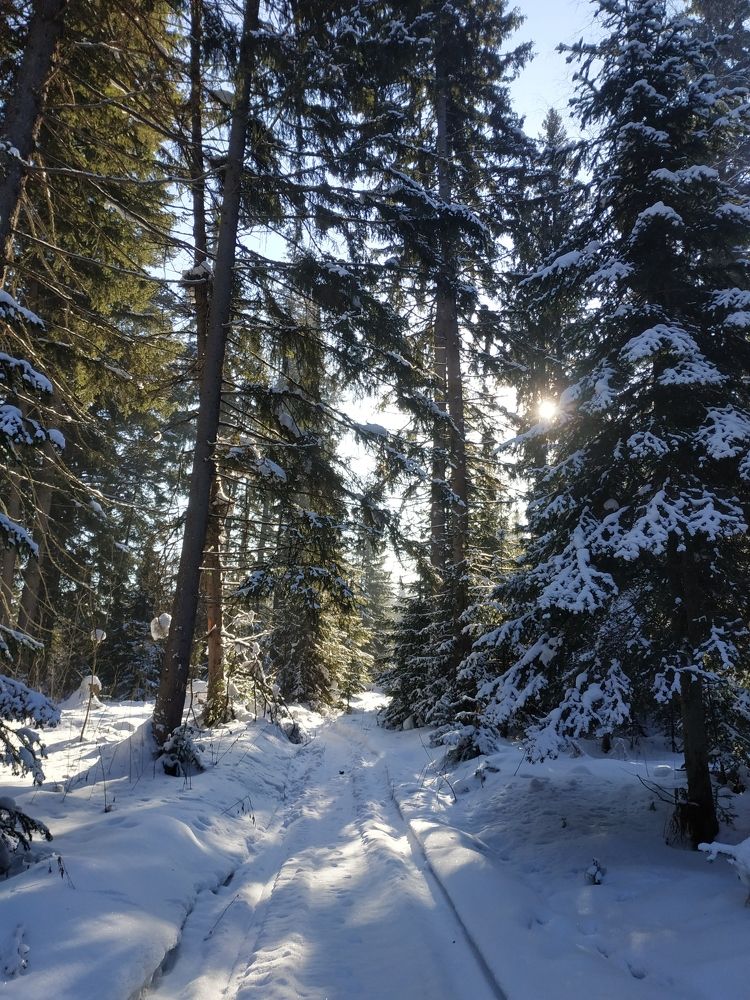 Зима в Сибири