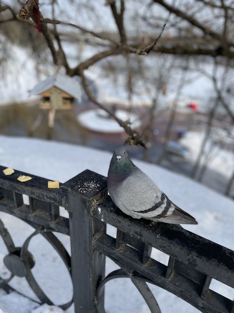 Photograph by Алина