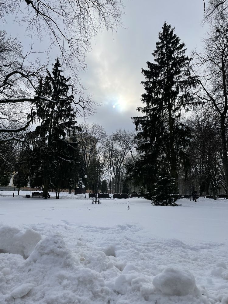 Photograph by Алина