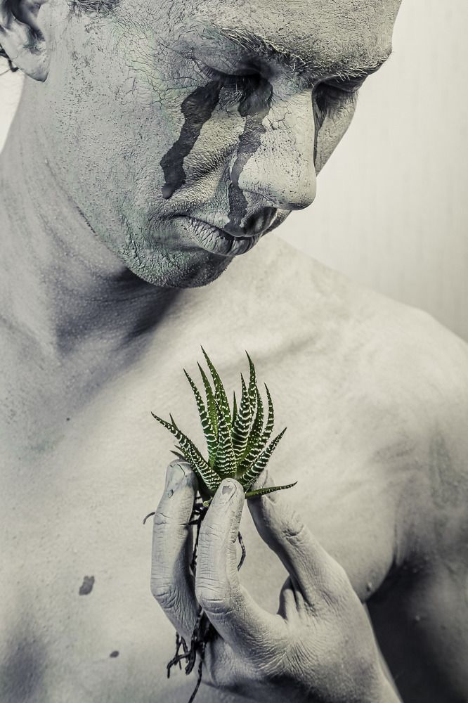 Фотография автора Александр Заикин