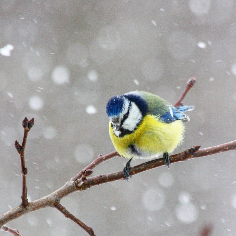 Photograph by Елена Смирнова