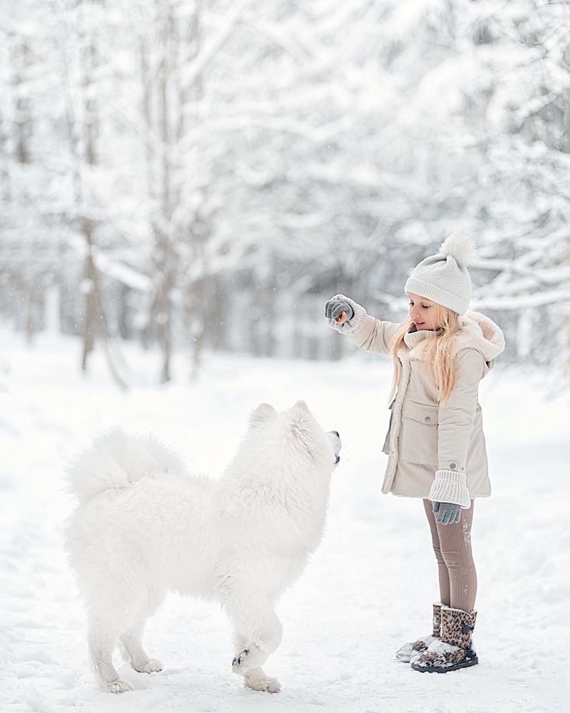 Photograph by Жанна Король