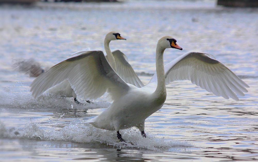 Приземление….