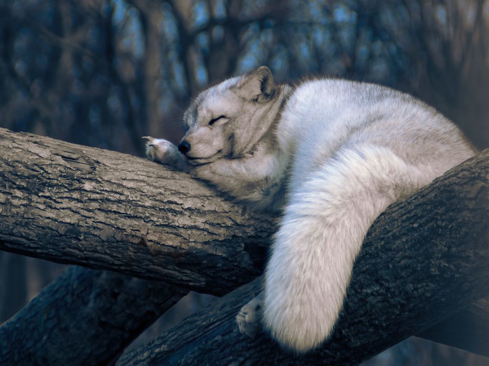 Photograph by Фёдор Зубчик