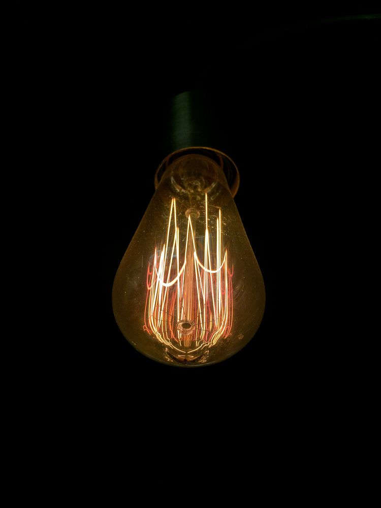 Photograph by najmeh hakimaei