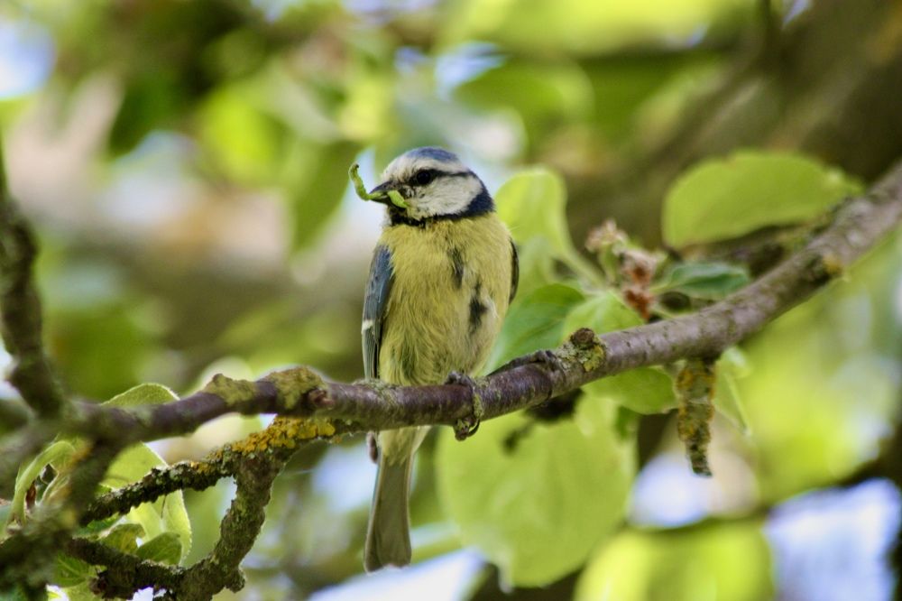 Photograph by Елена Смирнова