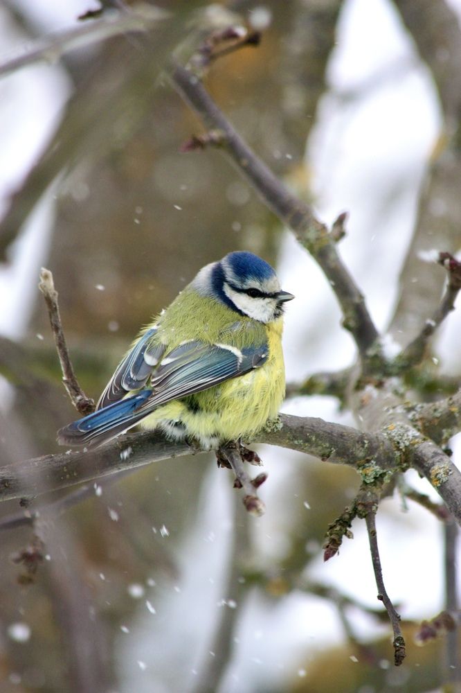 Photograph by Елена Смирнова