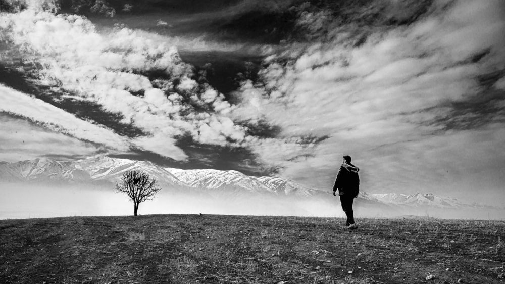 Photograph by mahdi jangjo