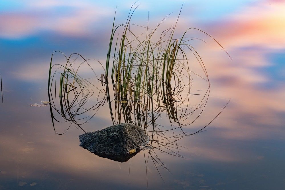 Фотография автора Katrin Lillenthal