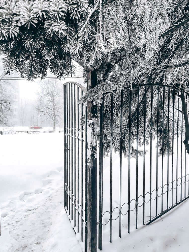 Фотография автора Irina Vornacheva