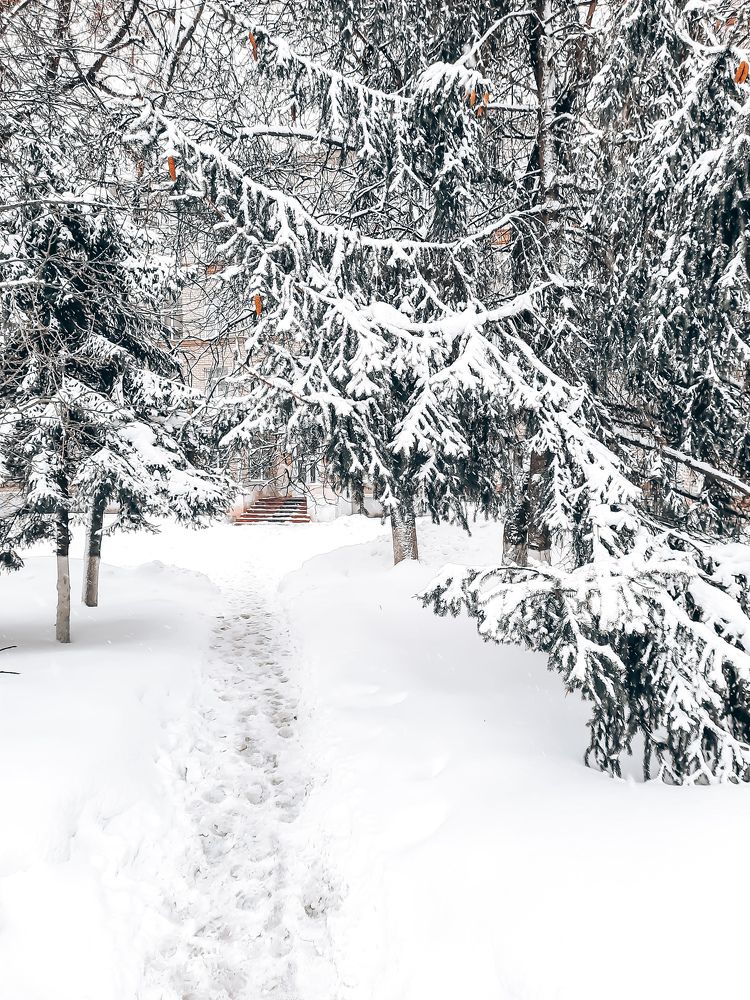 Фотография автора Irina Vornacheva