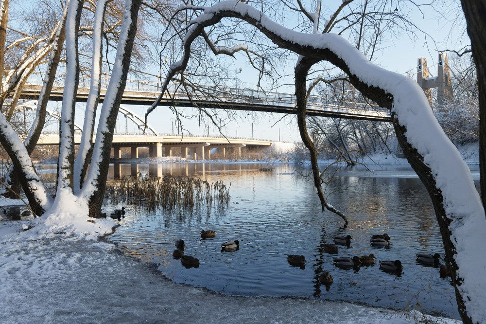 Фотография автора Andrei Rybachuk