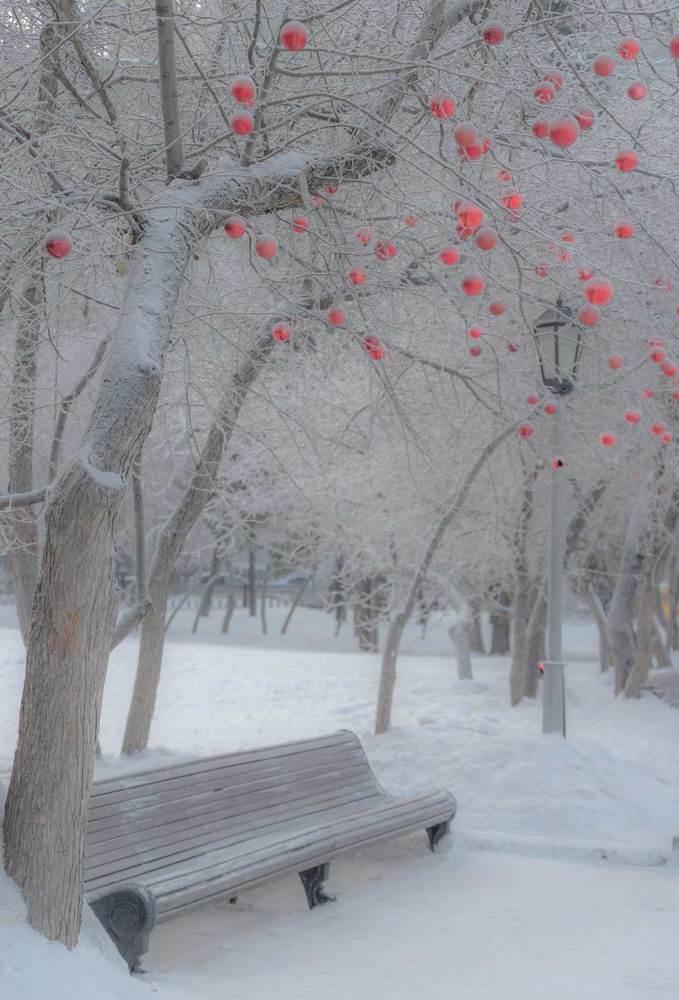 Photograph by Владимир Зубов