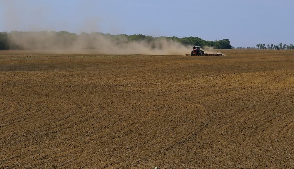 Фотография автора  Галина