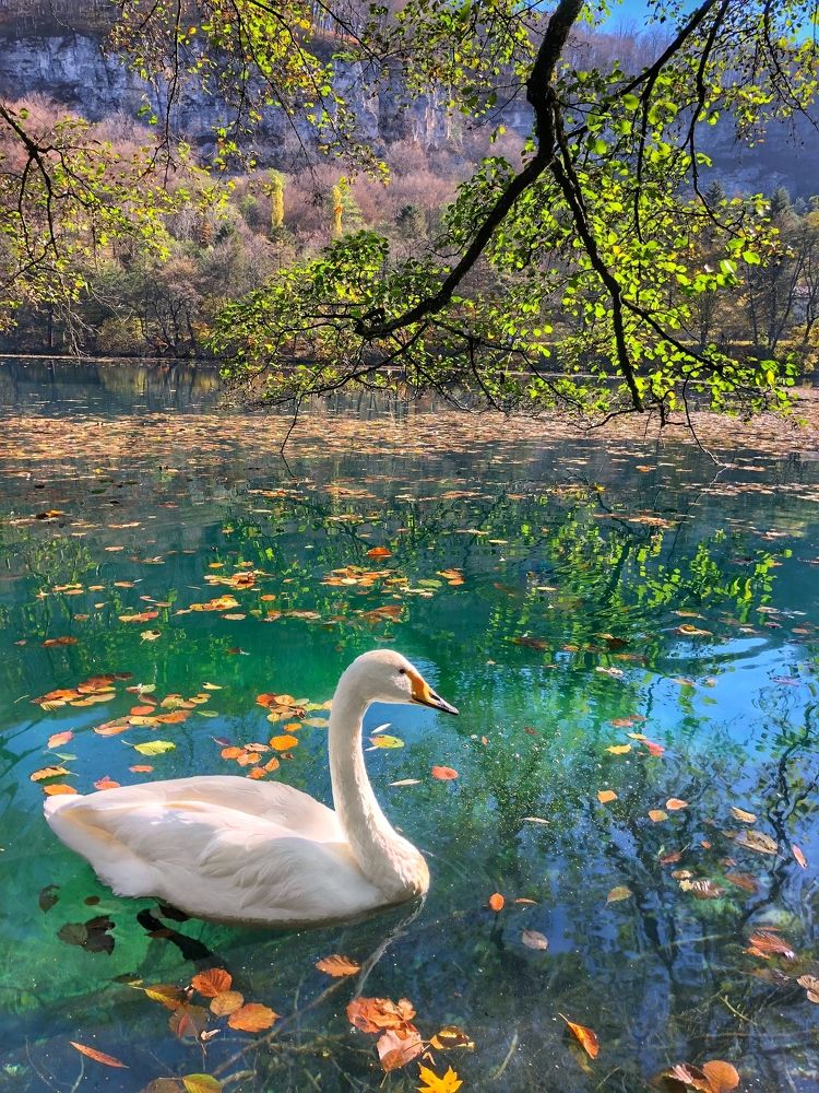 Photograph by Артём Мелетов