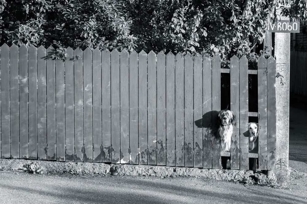 Photograph by Tamar Riabukha