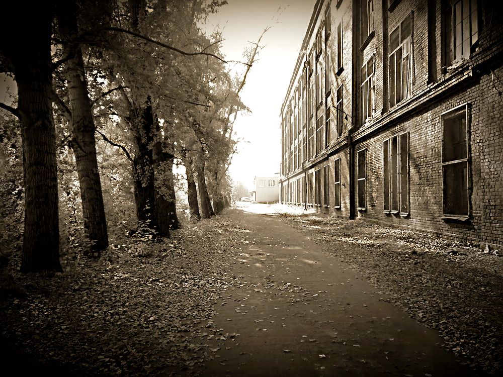 Photograph by 