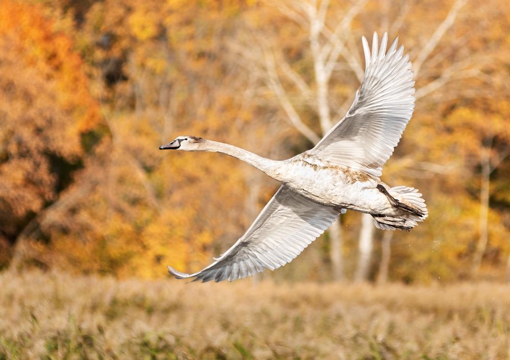 Photograph by Сергей Степанов