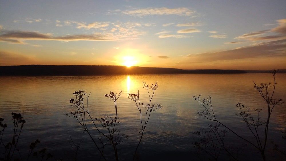 Фотография автора Ирина Бордачева