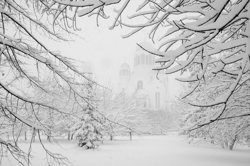 Фотография автора Алексей Лион