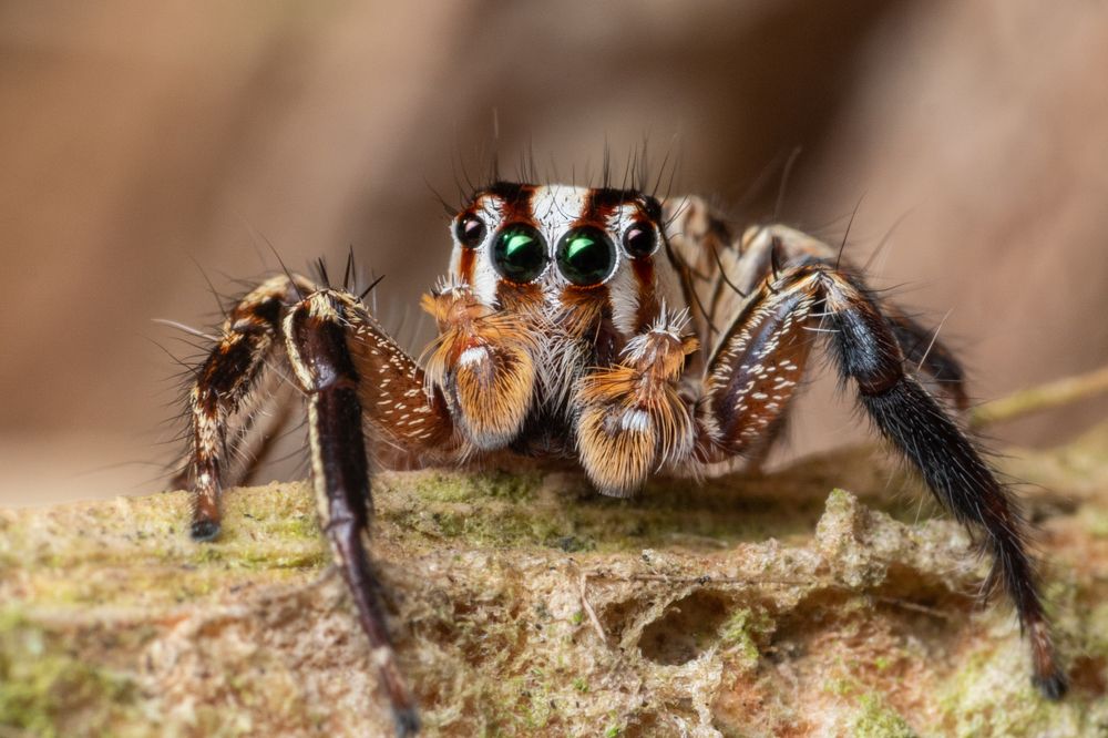 Photograph by Nicholas Ng