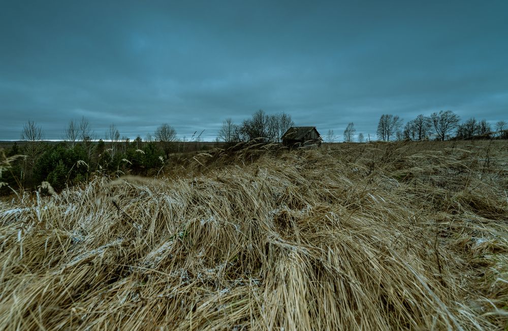 Photograph by Александр Дроздов