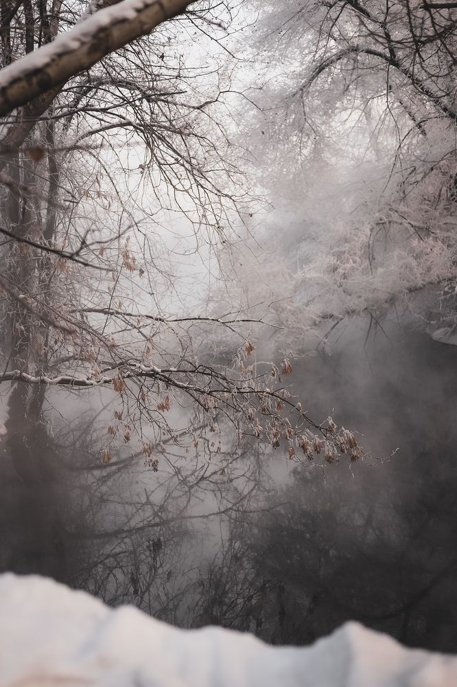 Photograph by Татьяна Тимошенко