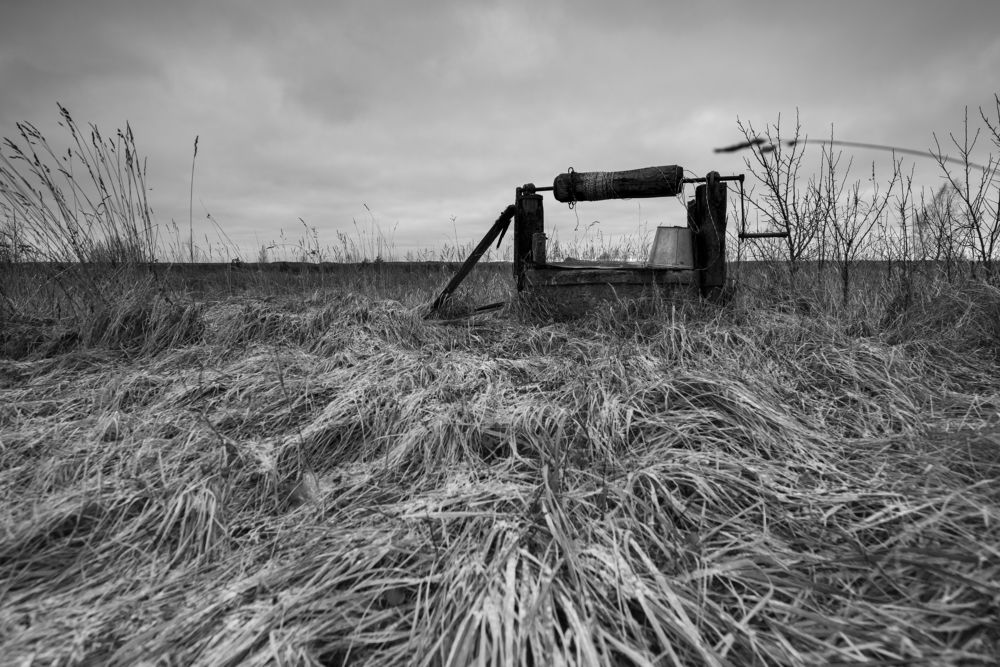 Photograph by Александр Дроздов