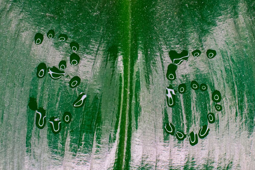 Photograph by Викулов Сергей