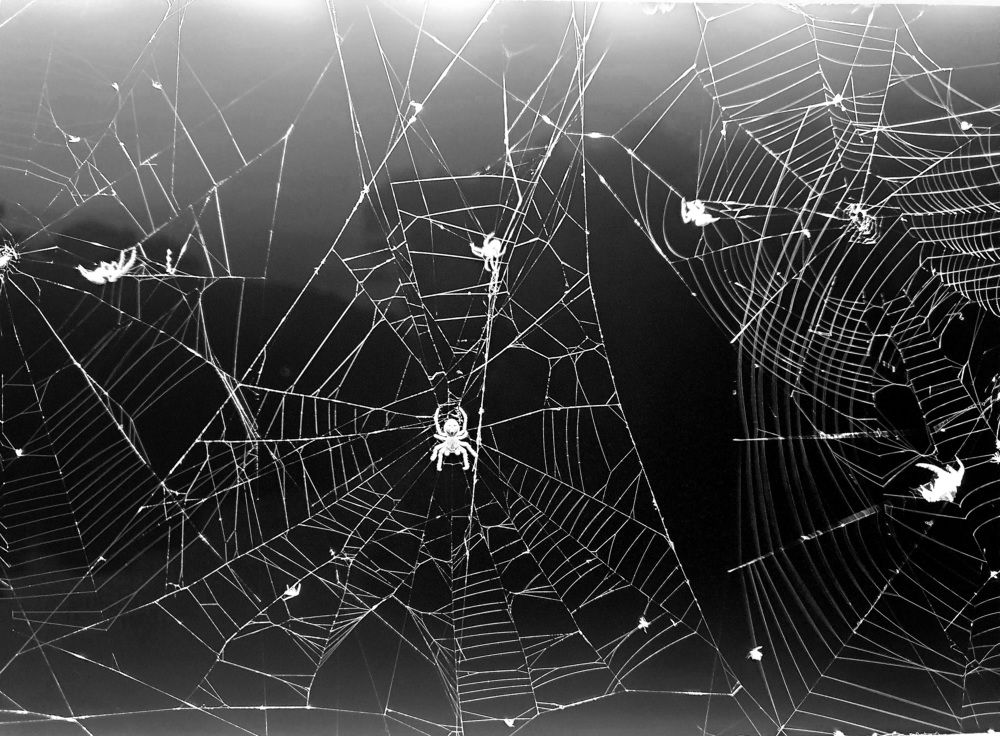 Photograph by Наталья Пагоцкая