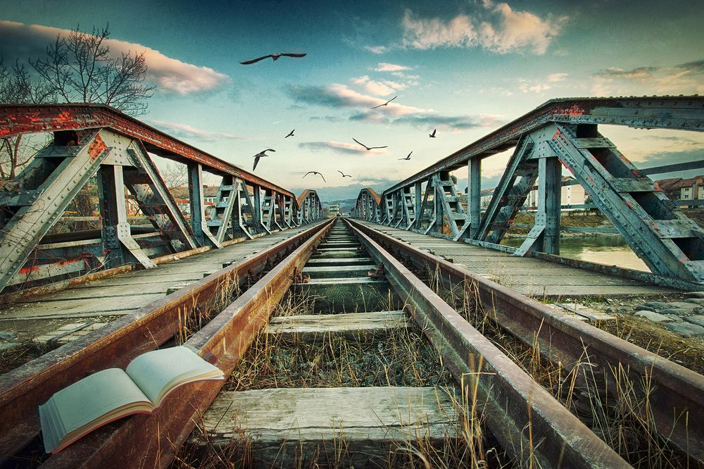 Photograph by Mihai Romeo Bogdan