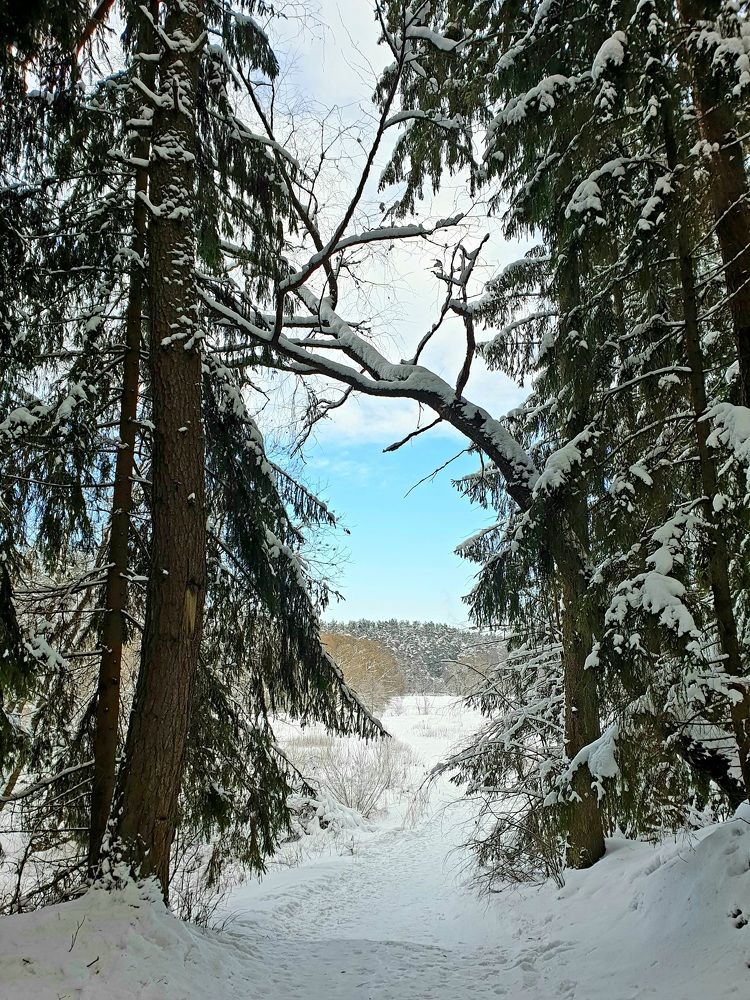 Photograph by Наталья Пагоцкая