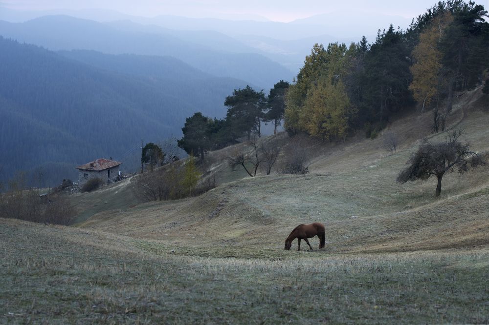 Photograph by Димитър Димитров