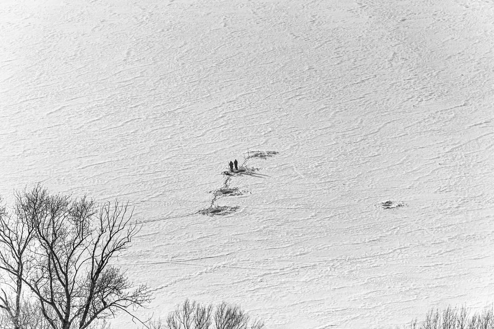 Photograph by Елена Сергеев