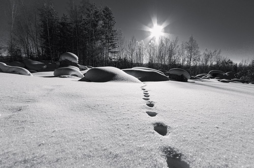 Photograph by Анастасия Сахаревич