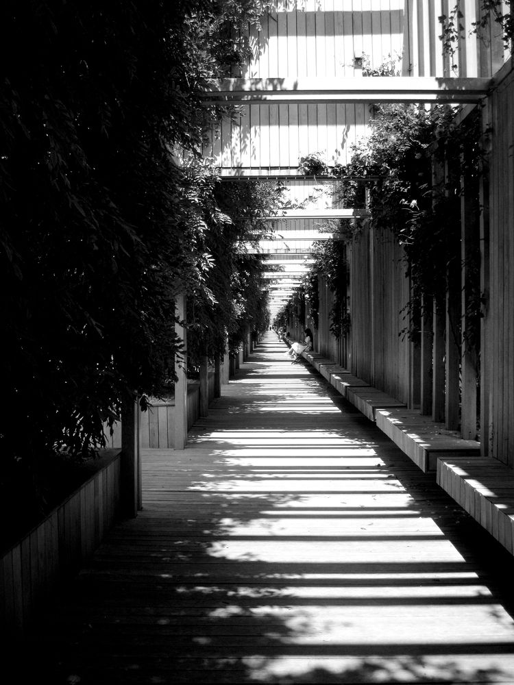 Photograph by Алёна Шкуратова