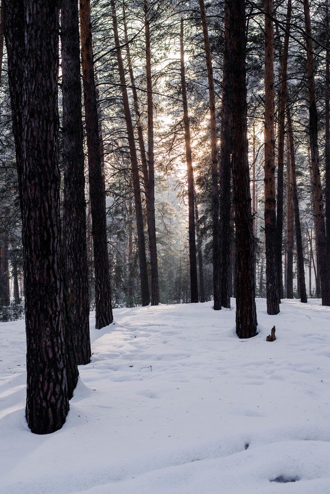 Photograph by Наталья Лещинская