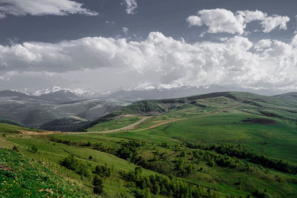 Photograph by Александра