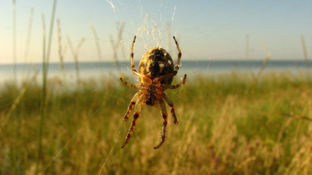 Фотография автора Сергей Дёмин