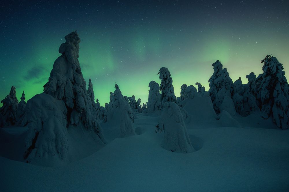 Фотография автора Adam Kováč