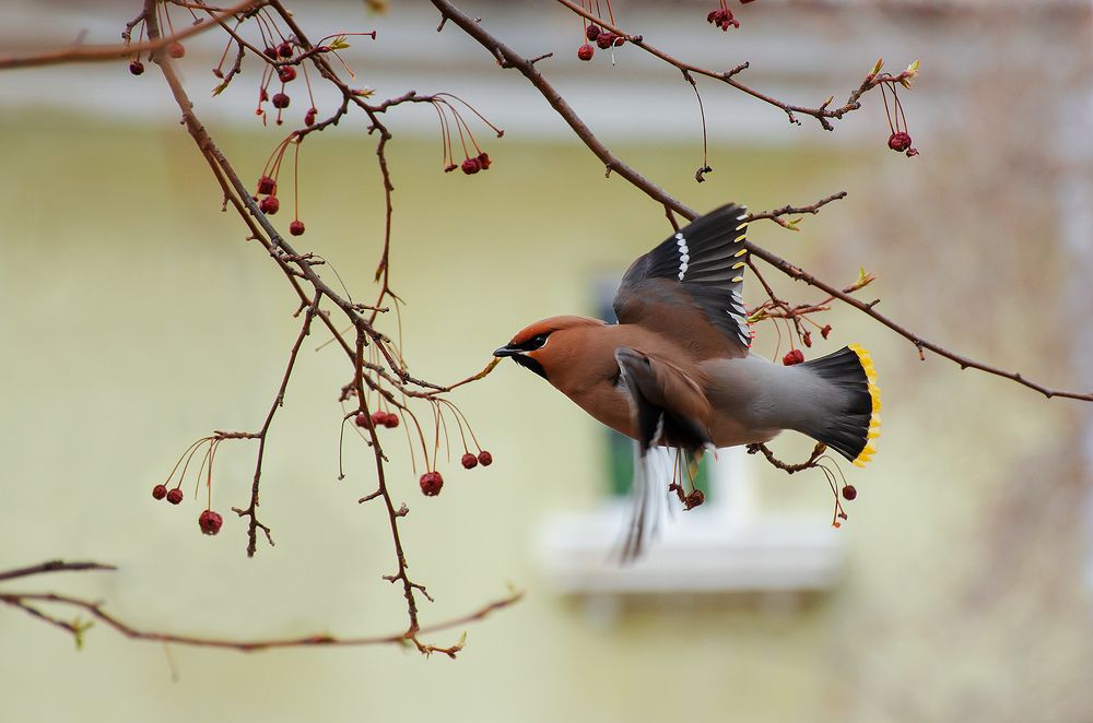 Photograph by SidorOFF Pavel