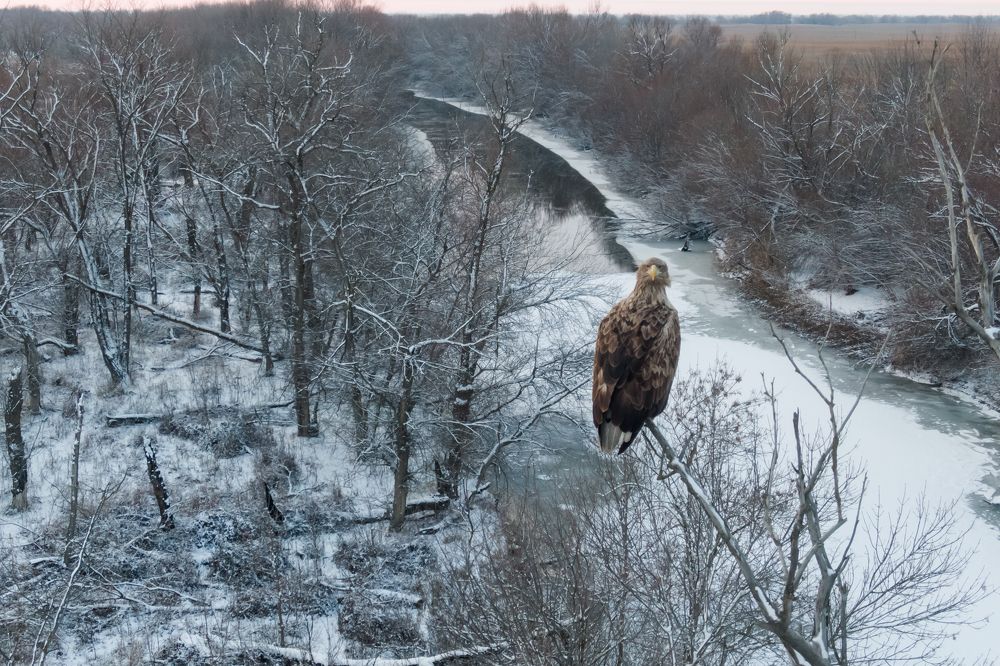 Photograph by Алексей Кашин