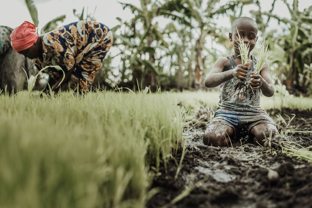 Photograph by Peter Boniface