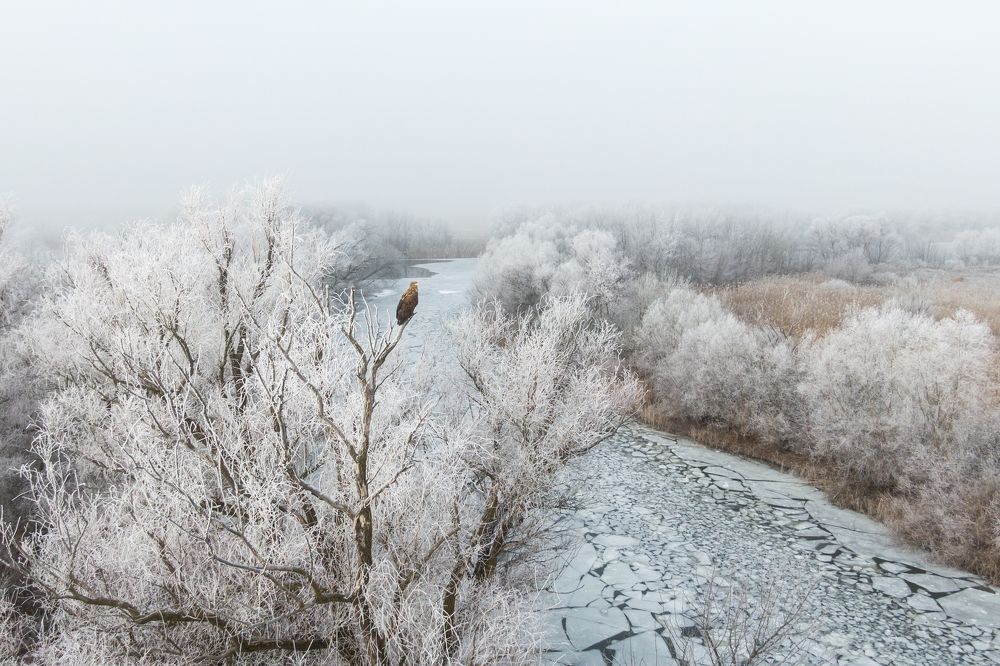 Photograph by Алексей Кашин