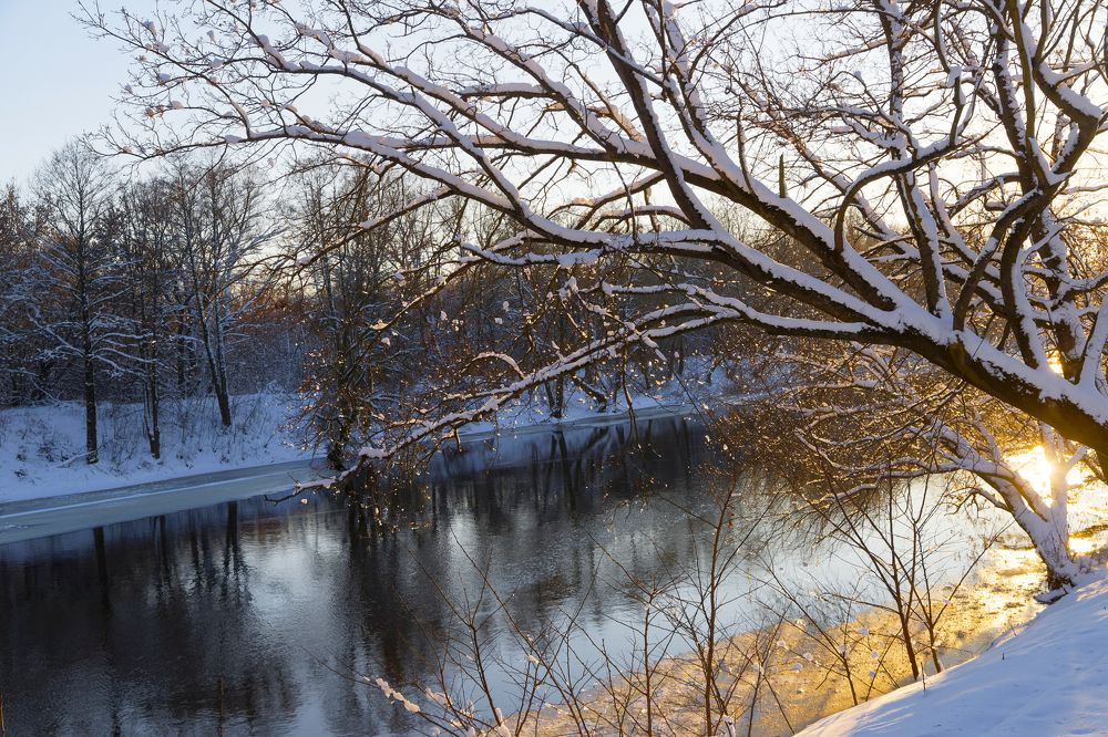 Фотография автора Andrei Rybachuk